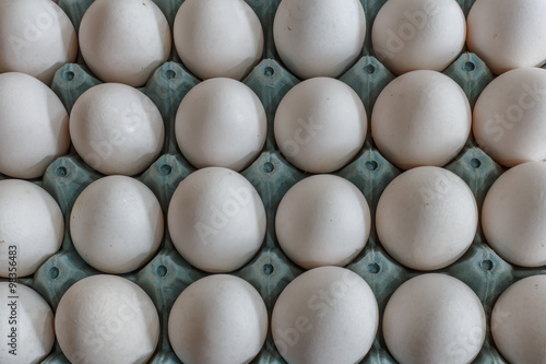 white Eggs in the package closeup