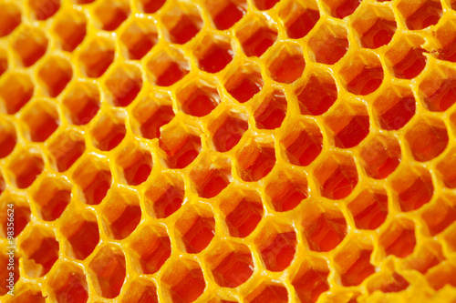 Close up shot of fresh honeycomb