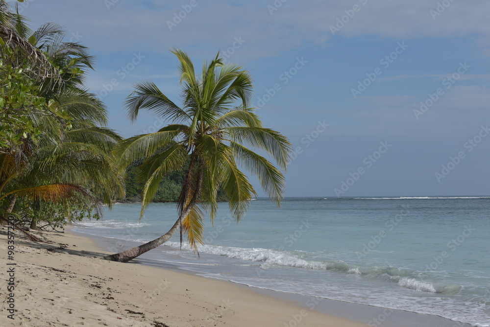Obraz premium Der Nationalpark Cahuita an der Karibikküste von Costa Rica