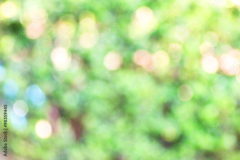 Bokeh, Blur leaf bokeh background Bokeh, Blur leaf bokeh background