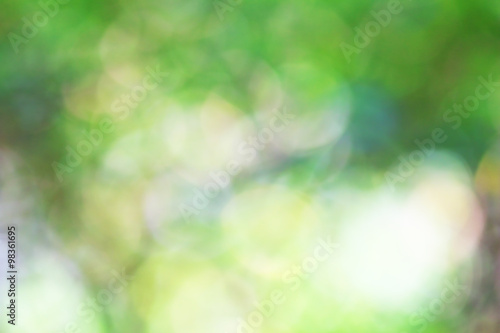 Bokeh, Blur leaf bokeh background