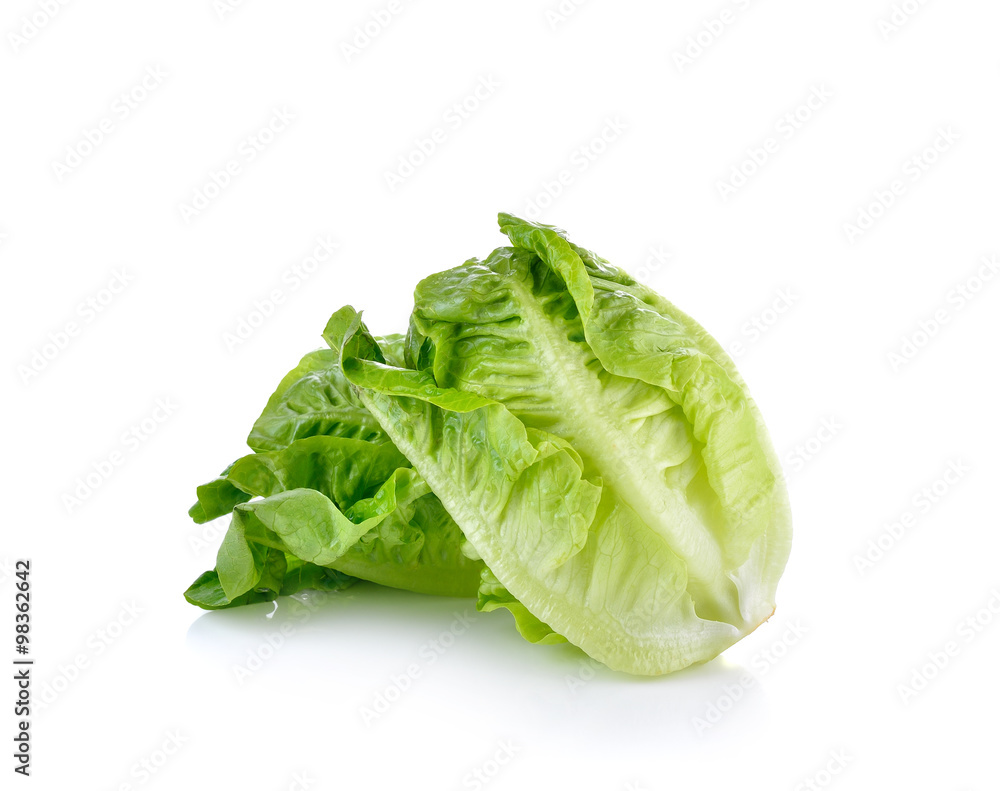 fresh baby cos (lettuce) on white background fresh baby cos (lettuce) on white background
