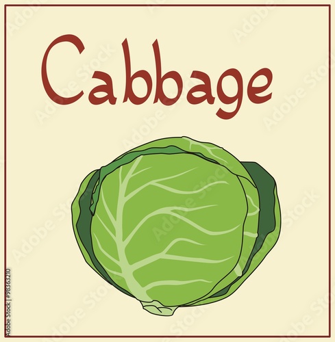 isolated cabbage on light background, handwritten text