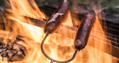 Roasting Hot Dog on Camp Fire photo