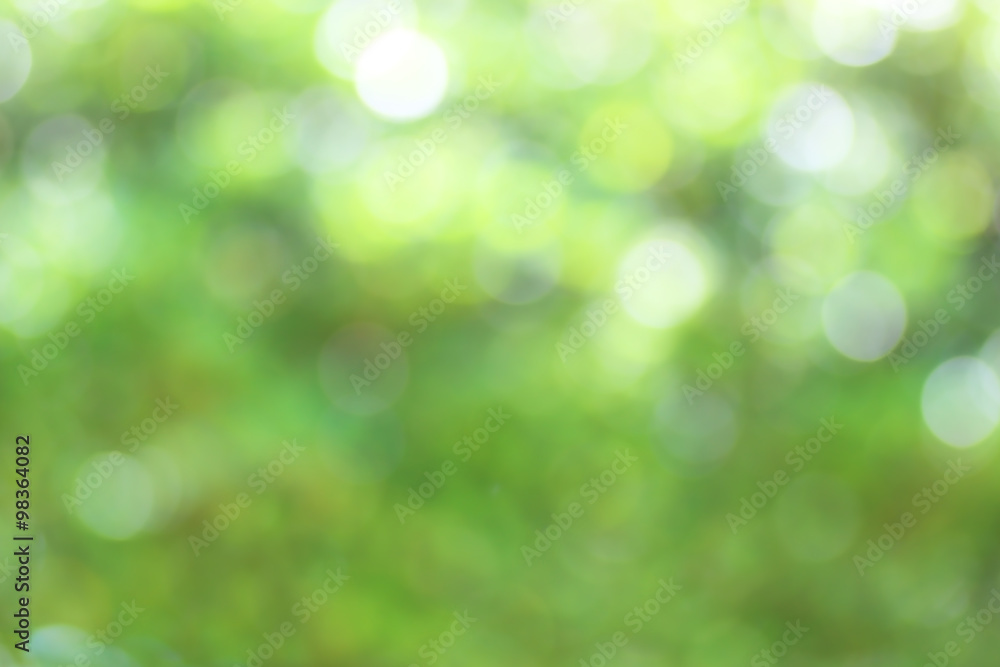 Obraz premium Bokeh, Blur leaf bokeh background