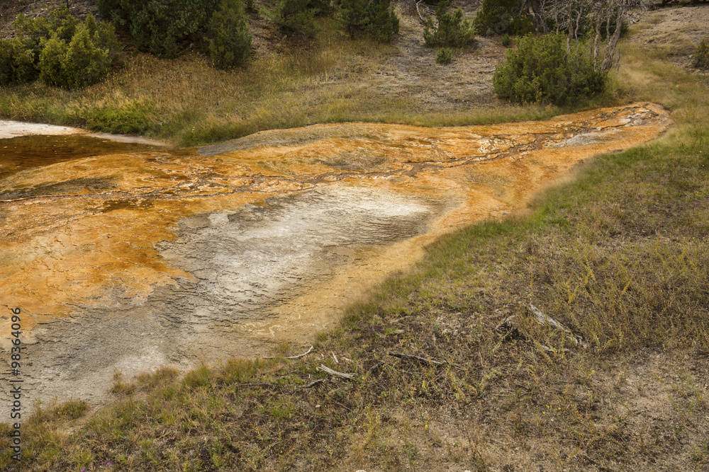 Fototapeta premium Orange geothermal stream runs over carbonate rocks, Yellowstone National Park, Wyoming.
