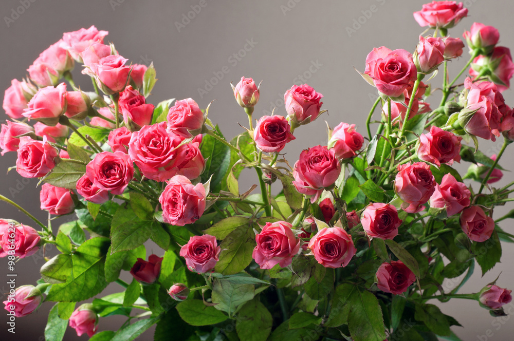 Bouquet pink roses closeup