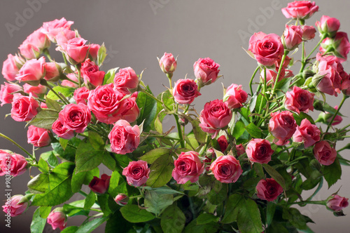 Bouquet pink roses closeup