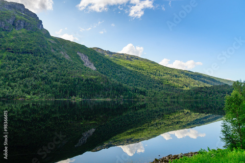 Pine forest on the slope of mountain reflected in a lake