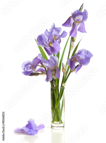 Fototapeta Naklejka Na Ścianę i Meble -  bouquet of spring purple Irises in a vase isolated on a white background.