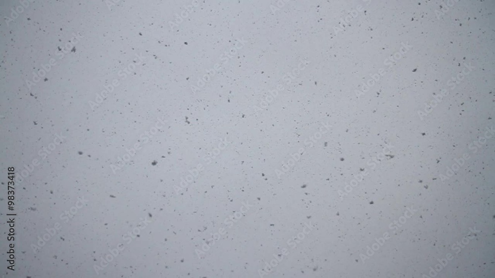 the first snow falls from the sky slow motion/the first snow falls from the sky slow motion the first snow falls from the sky slow motion/the first snow falls from the sky slow motion