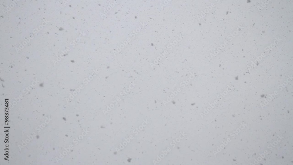 the first snow falls from the sky/the first snow falls from the sky the first snow falls from the sky/the first snow falls from the sky