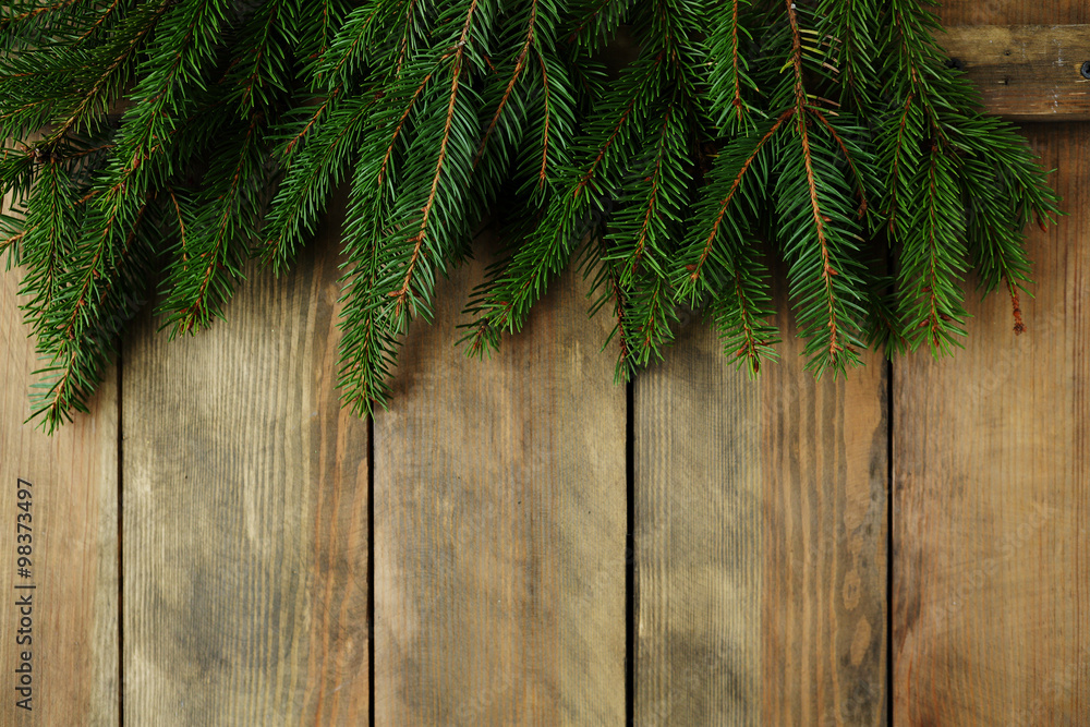 xmas background with green spruce xmas background with green spruce