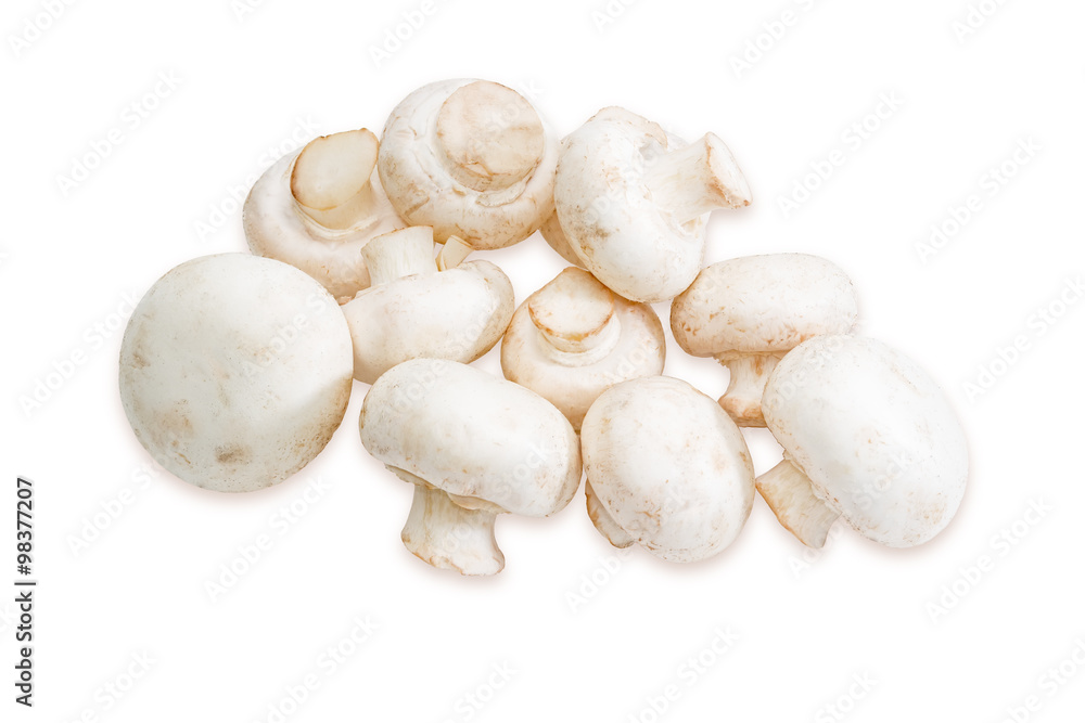 Pile of champignon mushroom on a light background