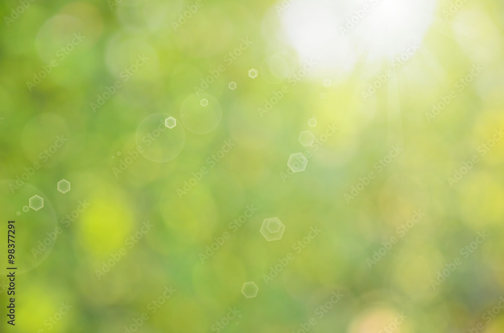 Fototapeta premium Green nature bokeh with sun light abstract background.
