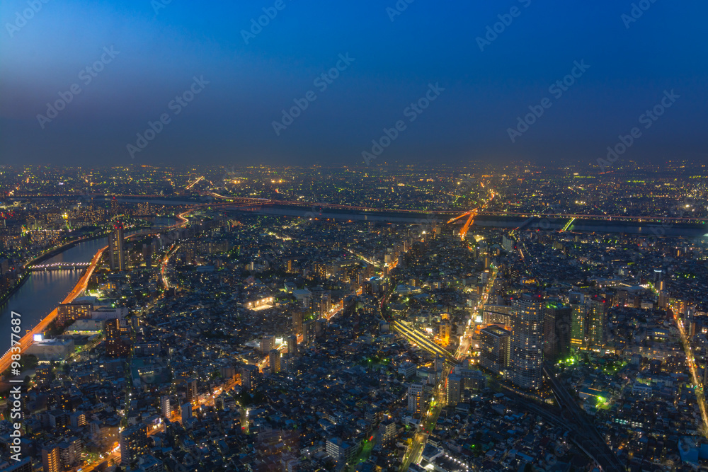 Tokyo's cityscape 
