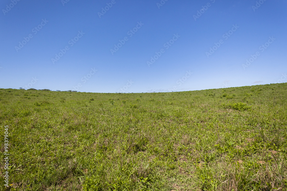 Grasslands Hillside Blue summer wilderness landscape
