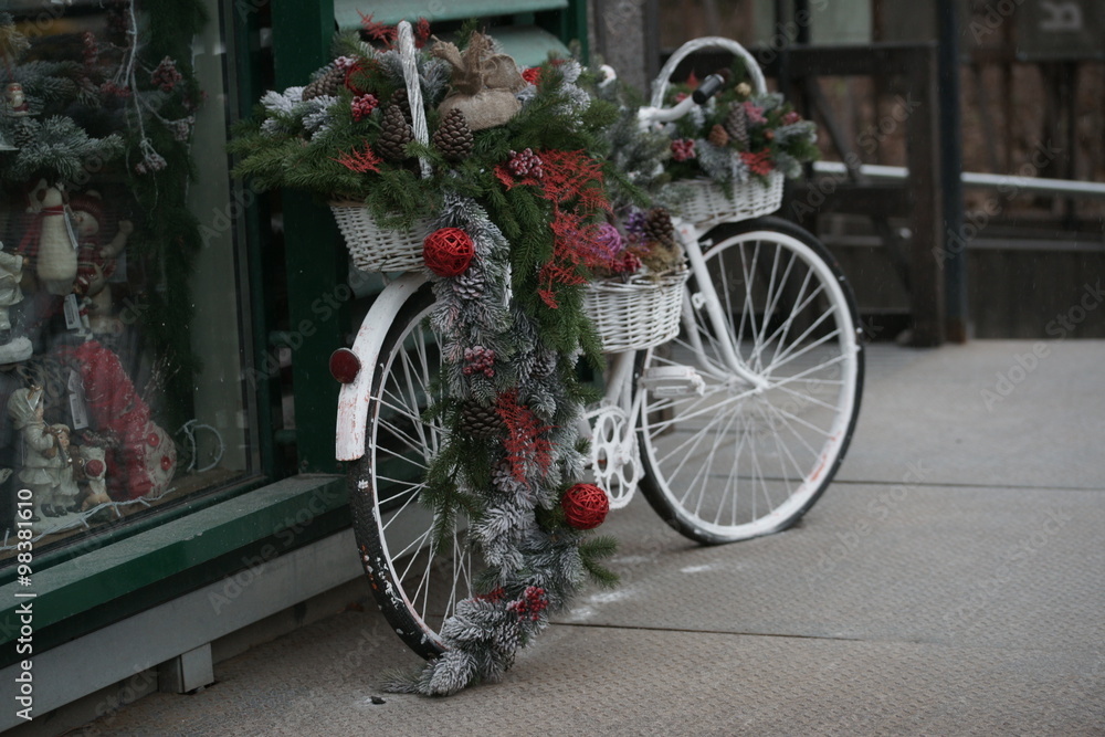 Велосипед с зимними украшениями в ботаническом саду на Проспекте Мира
