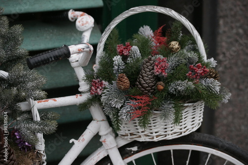 Велосипед с зимними украшениями в ботаническом саду на Проспекте Мира