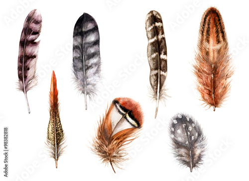Hand Drawn Watercolor Feathers. © val_iva