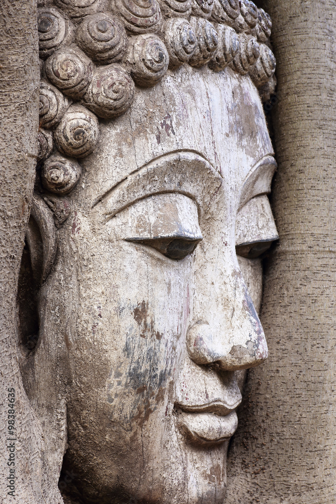 Buddha face ,Buddha head encased in tree roots