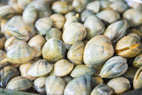 fresh clams for sale at the market