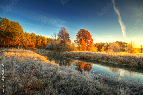 Slika na platnu frost on trees and grass