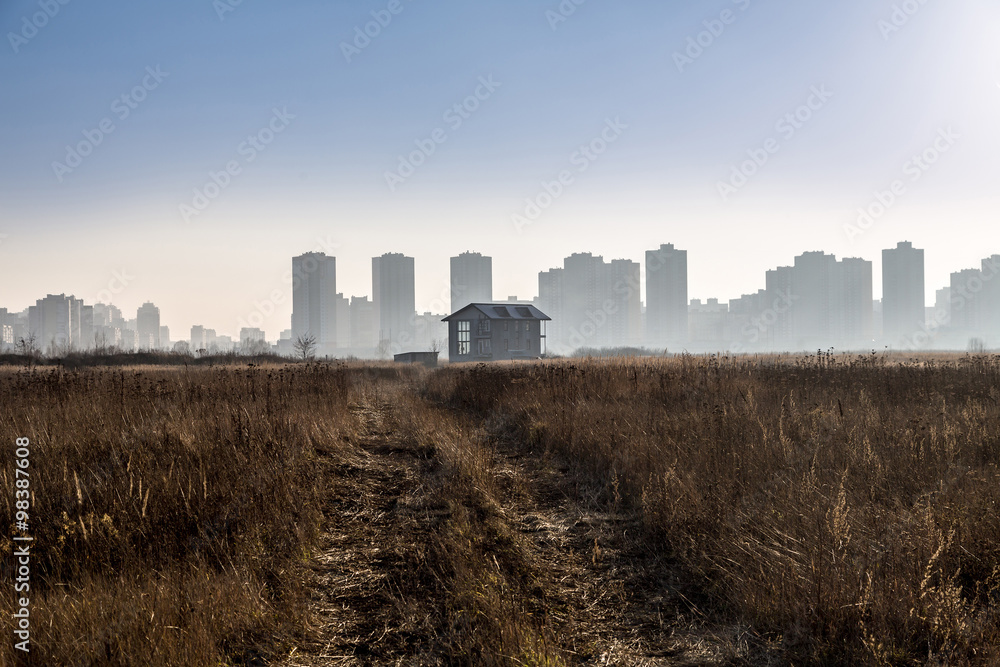 city with skyscrappers treads to country