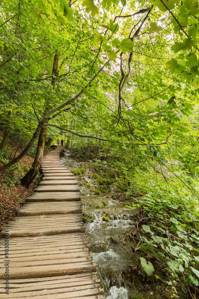 The beauty of Plitvice Lakes National Park.