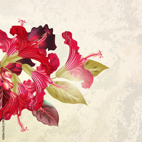 Vector illustration with hibiscus flowers in retro style