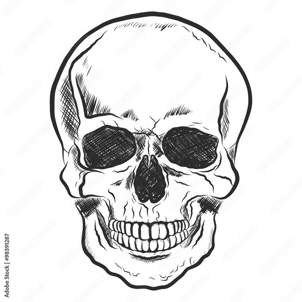 Totenkopf, Skull, handgezeichnet Stock-Vektorgrafik