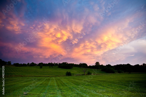Sunset over field