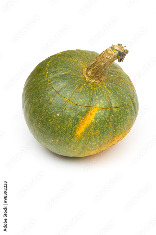 pumpkin on the white background pumpkin on the white background