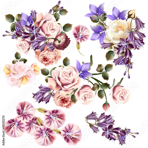 Beautiful collection of vector rose flowers