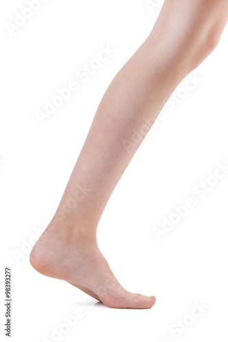 Left human foot