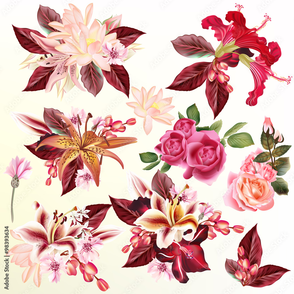 Obraz premium Beautiful collection of vector flowers