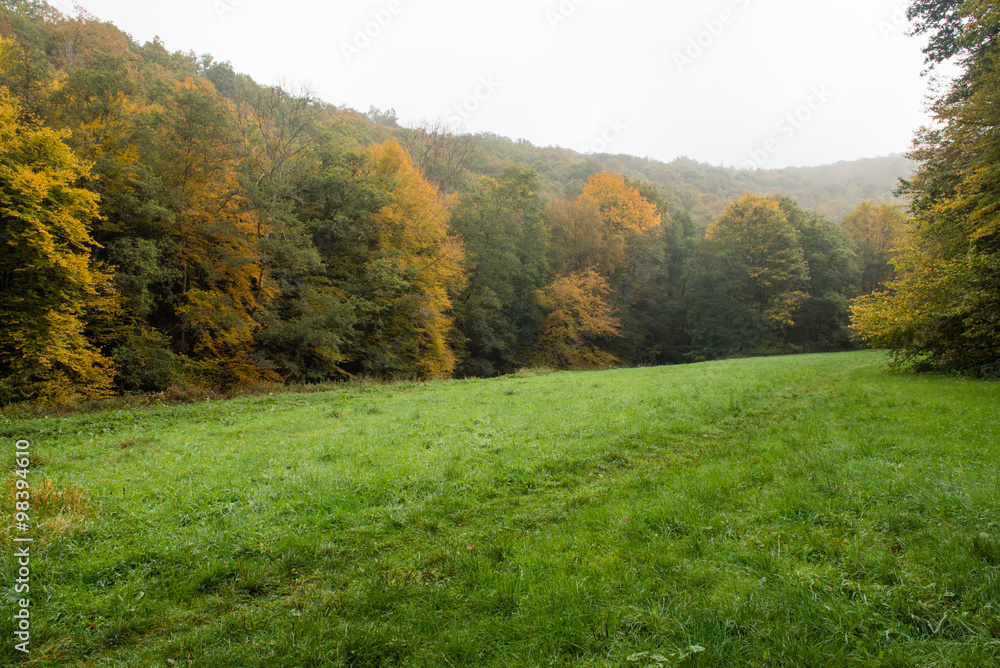 Autumn in the Ardennes, Belgium.