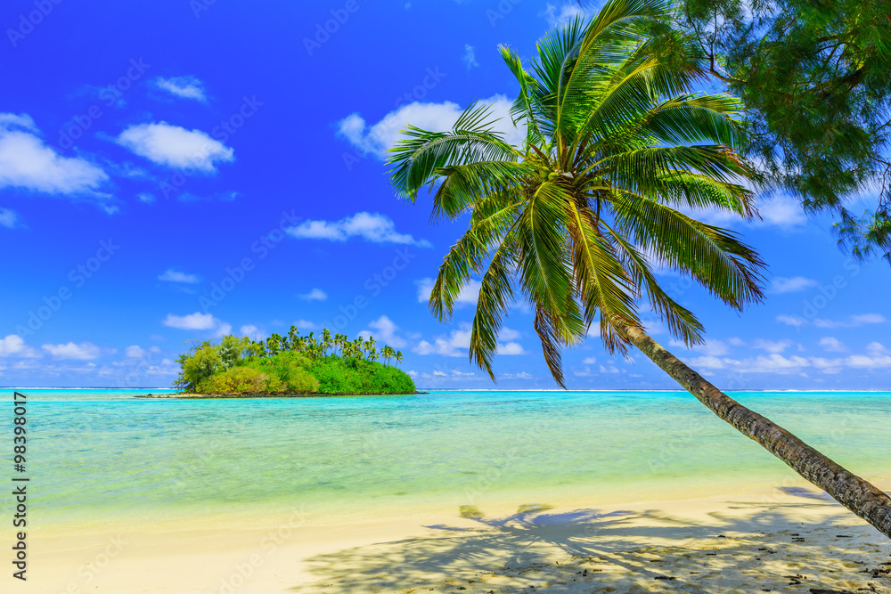 Rarotonga, Cook Islands.