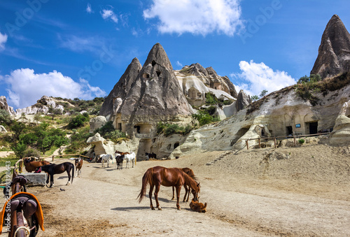 Horses in mountain landscape. Cappadocia  Turkey