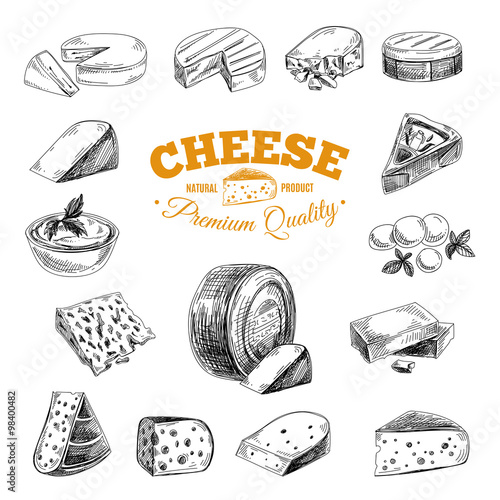 Vector hand drawn illustration with cheeses .