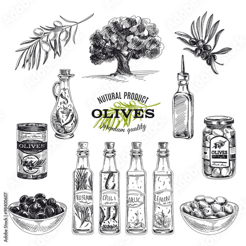 Vector hand drawn illustration with olives and olive oil. 
