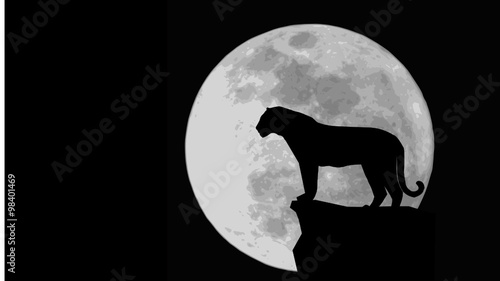 tiger moon 