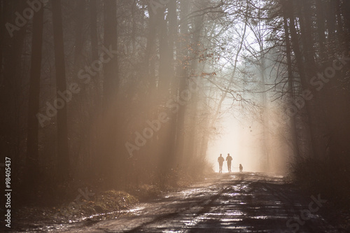 Fototapeta Biegająca para ludzi z psem w mglistym lesie