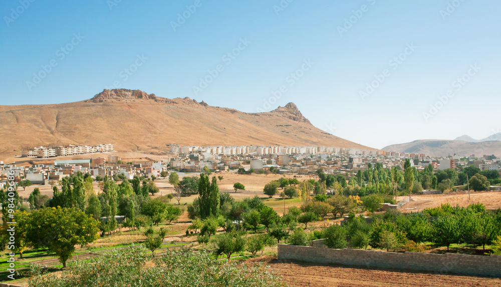 Landscape with a small town and the trees around