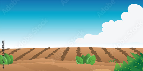 cartoon vector illustration of a farm field
