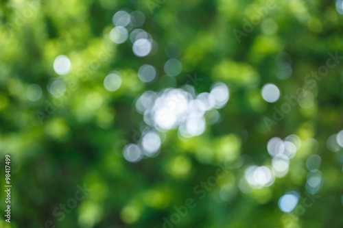 Natural green bright blur background