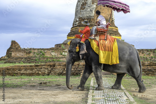 Tourists on elephant ride tourism © Ammak