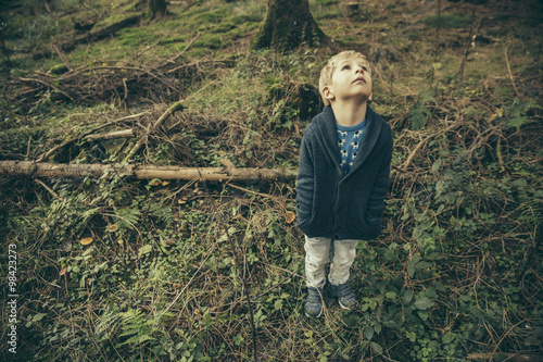 Little boy standing in forest looking up in wonder