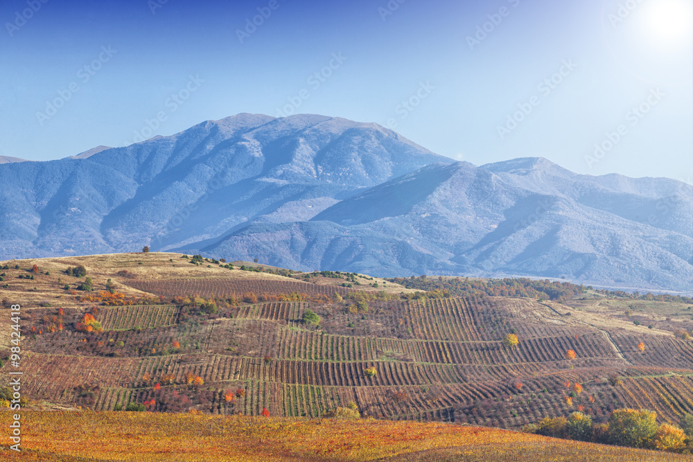 Fototapeta premium Plowing the field