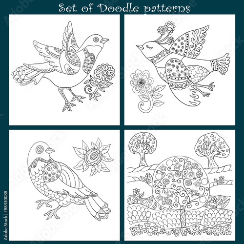 Set of Doodle birds. Coloring page.